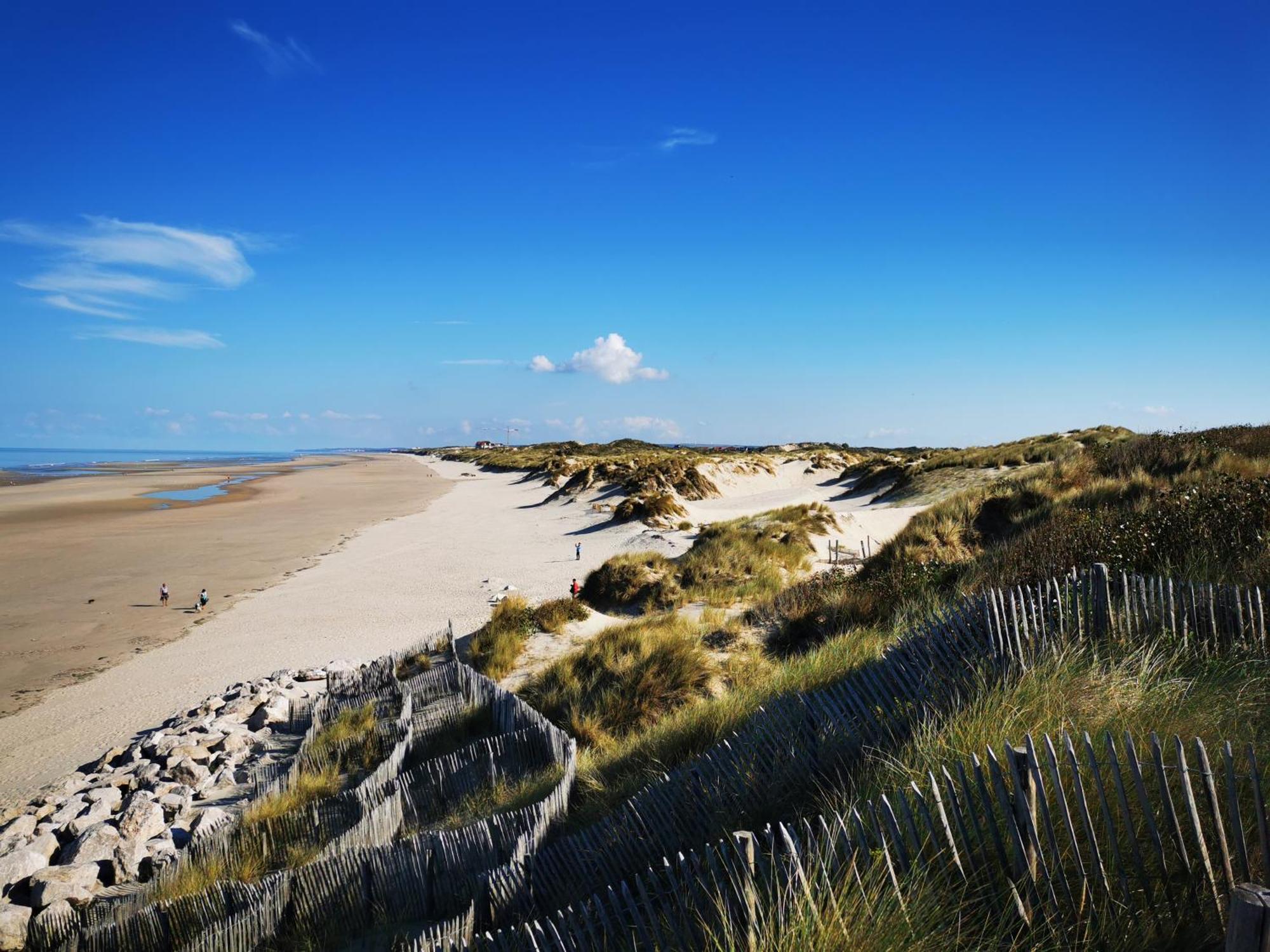 Appartement Sunrise Au Pied De La Plage Merlimont Plage Exteriör bild