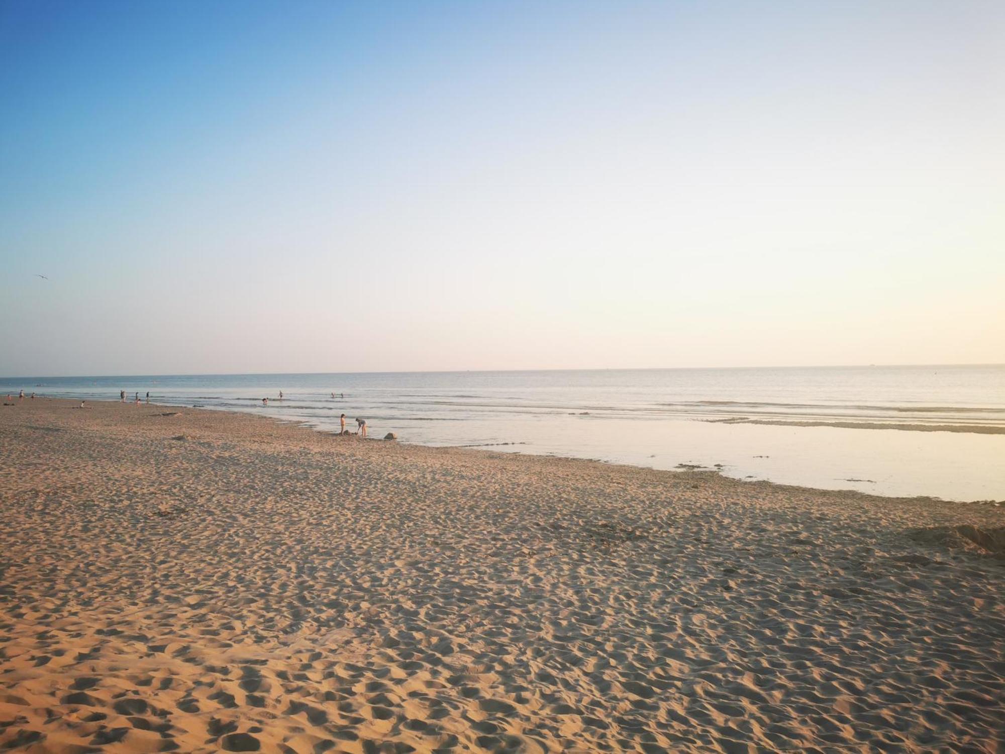 Appartement Sunrise Au Pied De La Plage Merlimont Plage Exteriör bild