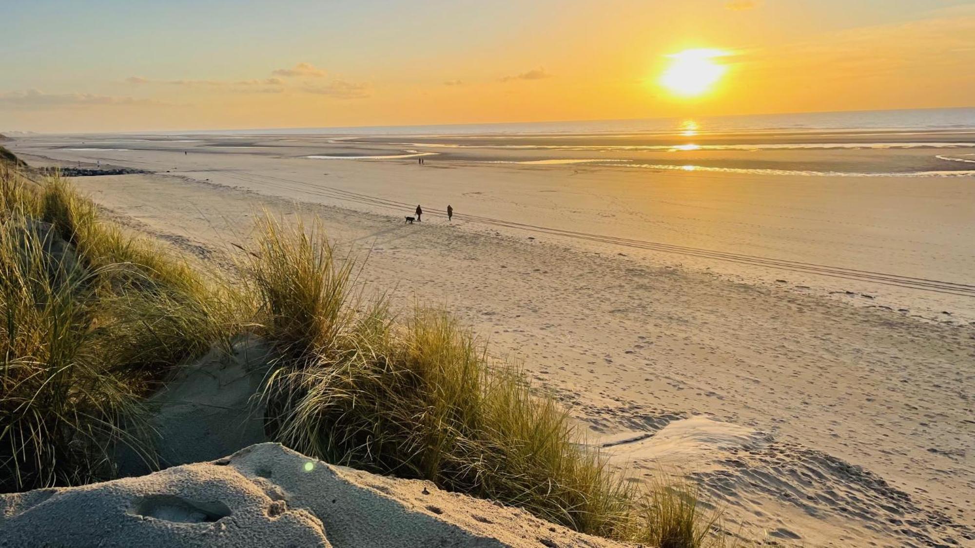 Appartement Sunrise Au Pied De La Plage Merlimont Plage Exteriör bild